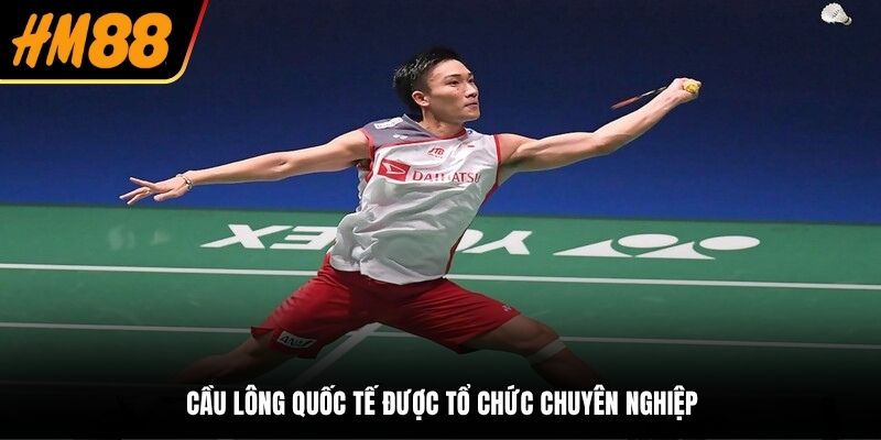 Cầu lông quốc tế được tổ chức chuyên nghiệp