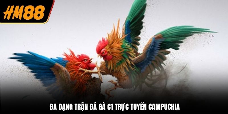 Đa dạng trận đá gà C1 trực tuyến Campuchia