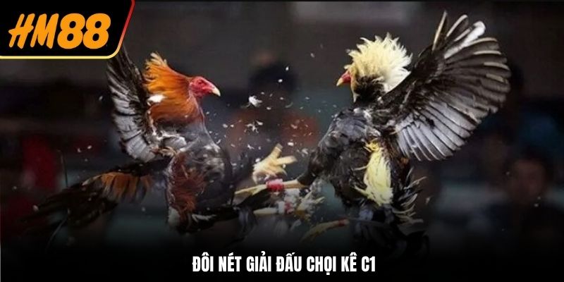 Đôi nét giải đấu chọi kê C1