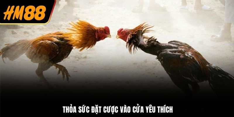 Thỏa sức đặt cược vào cửa yêu thích