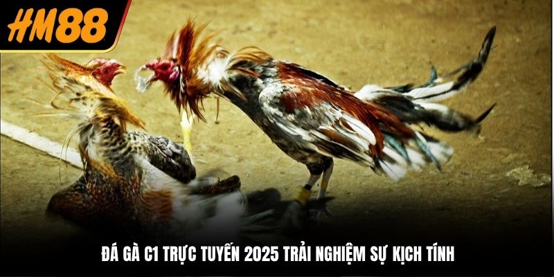 Mẹo cược đá gà C1 trực tuyến 2025 hiệu quả