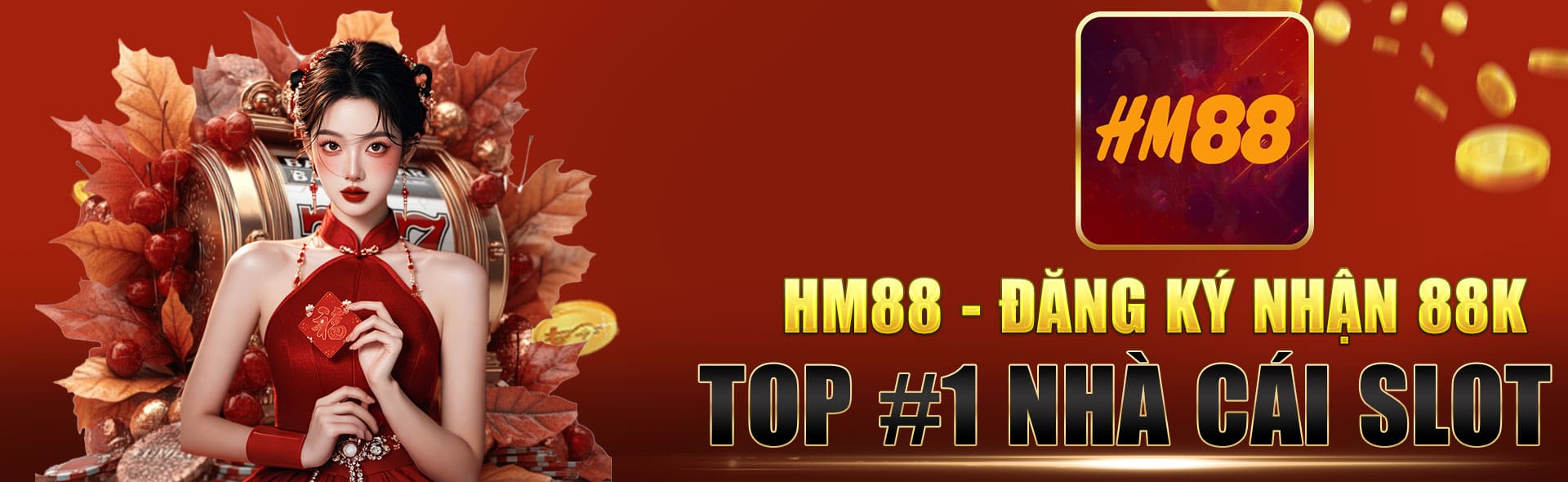 banner HM88