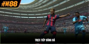 trực tiếp bóng đá